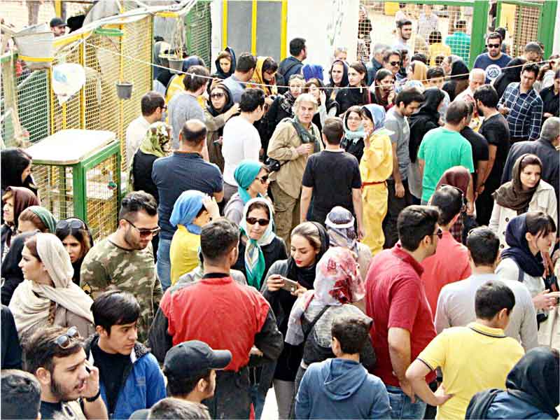 گزارش یک گرد هم آیی