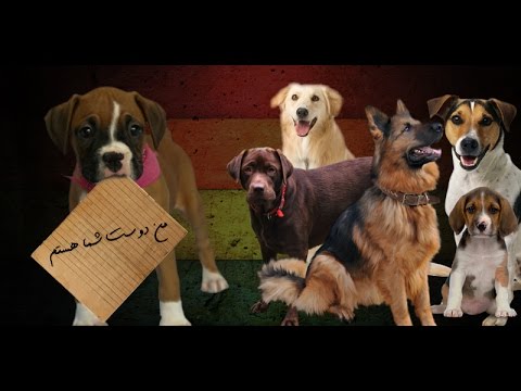 کیهان لندن – مرا به خانه ات ببر