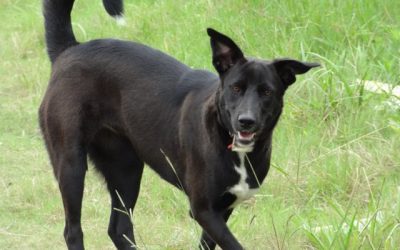 Lost ( now Lucy )