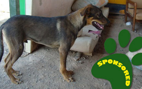 Afra