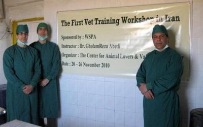 The 1st Vet Training Workshop in Iran held at Vafa Animal Shelter in Hashtgerd
