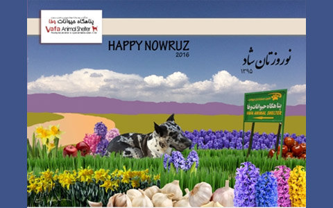 Happy Nowruz 2016