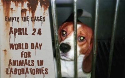 روز جهانی حمایت از حیوانات آزمایشگاهی