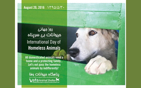 International Homeless Animals’ Day-2016