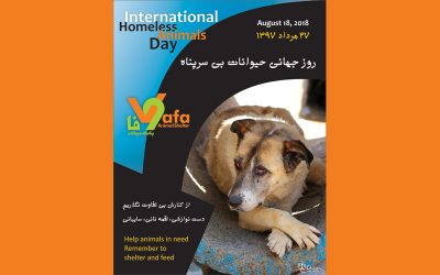 International Homeless Animals Day