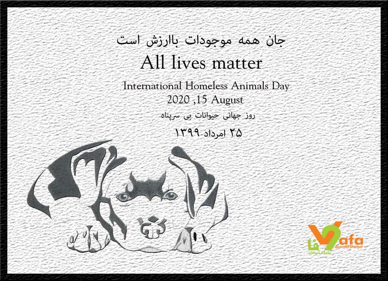 روز جهانی‌ حیوانات بی‌ سرپناه ـ 25 امرداد 1399