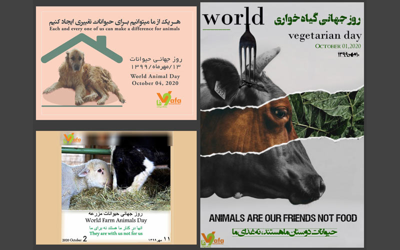 World Vegetarian Day,World Farm Animals Day, World Animal Day