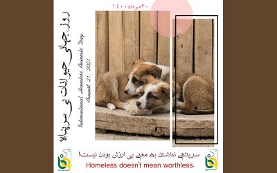 The International Homeless Animals Day – Aug 21 2021
