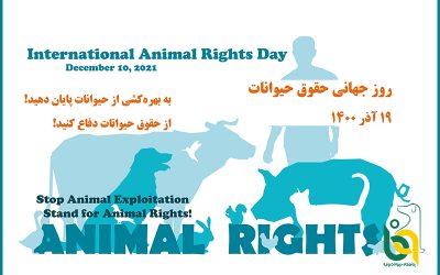 دهم دسامبر، روز جهانی حقوق حیوانات