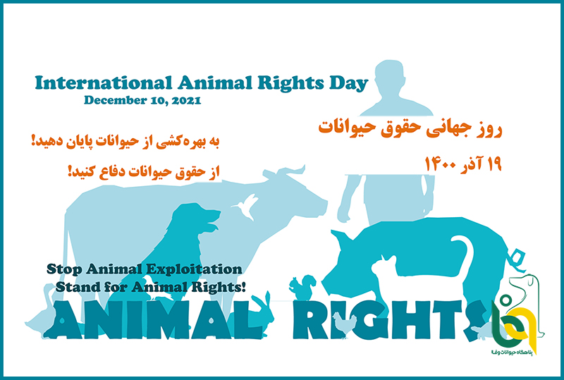 دهم دسامبر، روز جهانی حقوق حیوانات