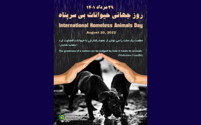  روز جهانی حیوانات بی سرپناه/1401