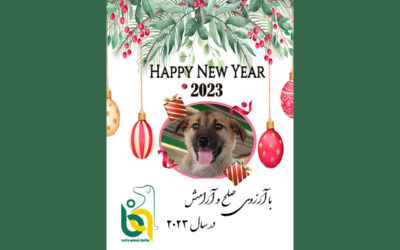 شادباش به مناسبت سال نو- 2023