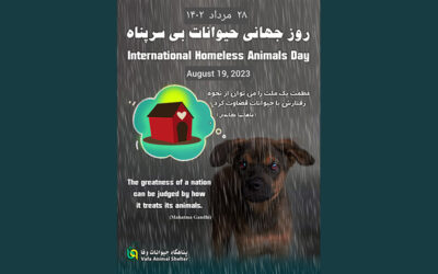 روز جهانی حیوانات بی سرپناه- 1402