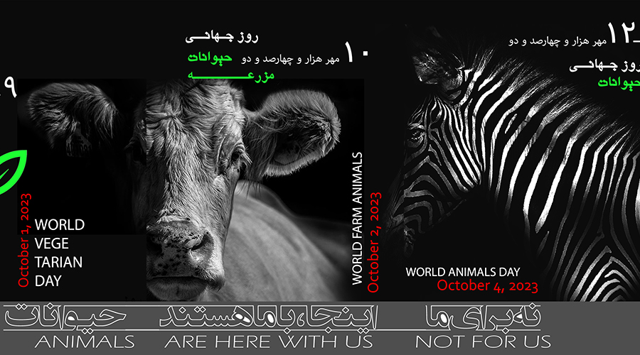 هفته اول اکتبر: روز جهانی گیاهخواری، حیوانات مزرعه و حیوانات