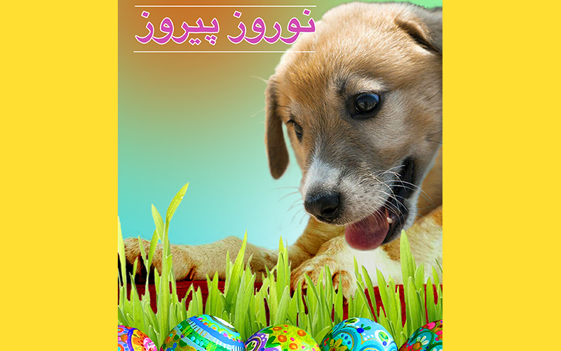 Happy Nowruz 1403