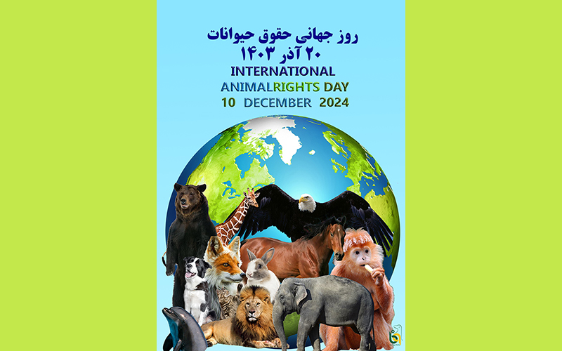 International Animal Rights Day-2024