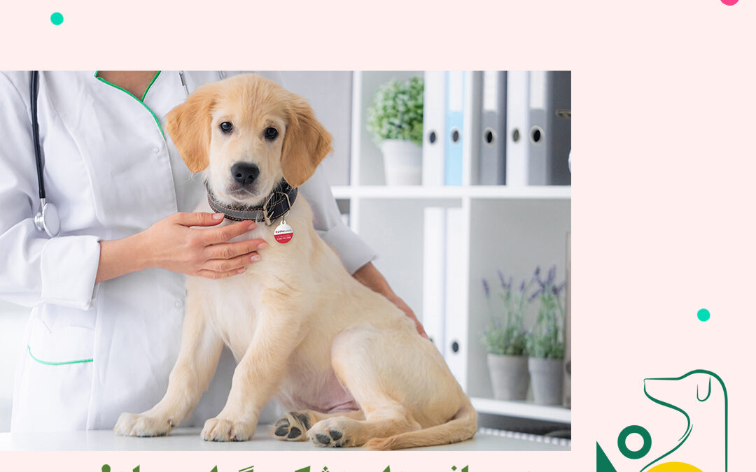 Happy World Veterinary Day!