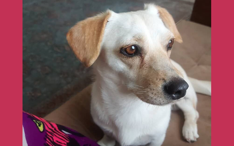 Gucci: A Second Chance