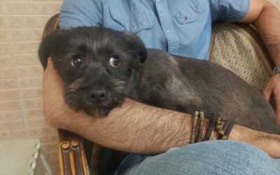 تقدیر: از آوارگی تا آغوش امن