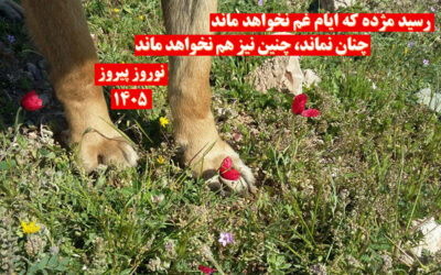 Happy Nowruz 1405- A Message to Animal Lovers