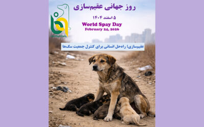 World Spay Day – 2026