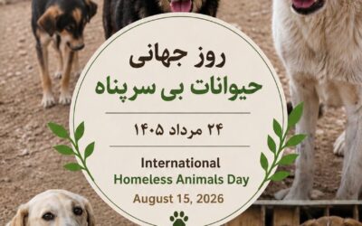 روز جهانی حیوانات بی سرپناه/ 2026
