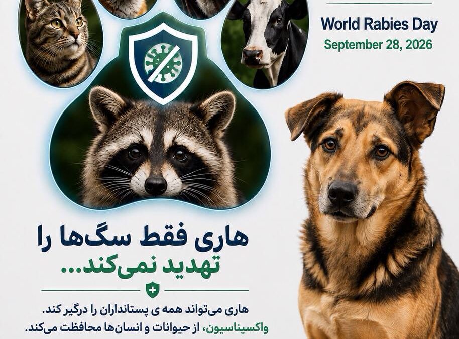 روز جهانی مقابله با هاری – 28 سپتامبر 2026